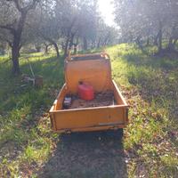 carriola motorizzata