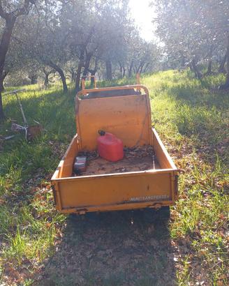 carriola motorizzata