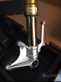Forcelle ohlins