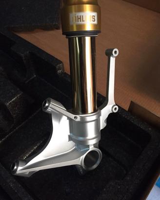 Forcelle ohlins