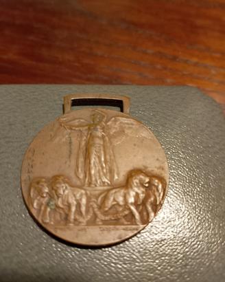 Grande Medaglia in Bronzo. 1915/1918 . TRATTABILE 