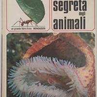 Vita Segreta degli animali - Walt  Disney