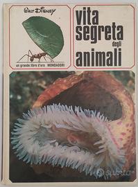 Vita Segreta degli animali - Walt  Disney