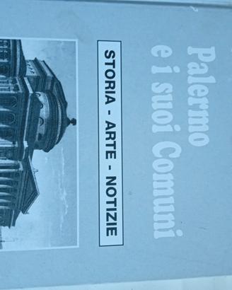 Palermo e i suoi comuni 