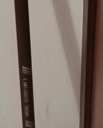 Canna da pesca da punta metri 4 