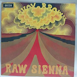 VINILE LP SAVOY BROWN RAW SIENNA ORIGINALE 1970 - Musica e