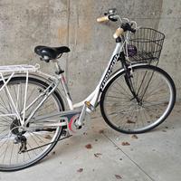 bicicletta da passeggio 
