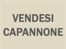 Capannone a Riccione, 6 locali