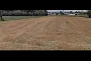 Terreno agricolo