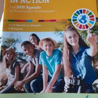 global goals in action