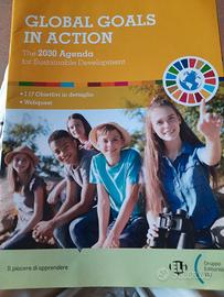 global goals in action