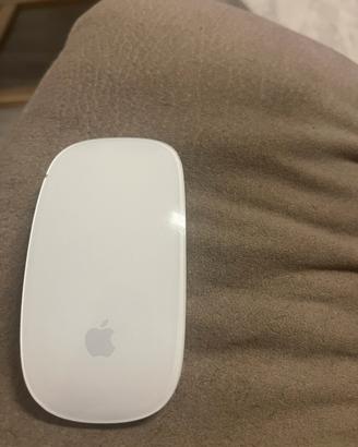 Apple mouse