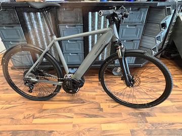 ebike Riese &Muller Roadster touring