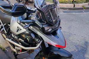 Triumph tiger gt pro 2024