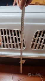 Kennel