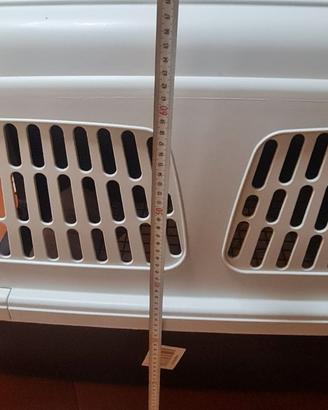 Kennel