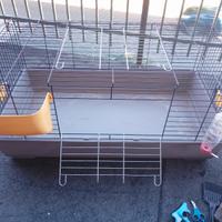 Gabbia per coniglio