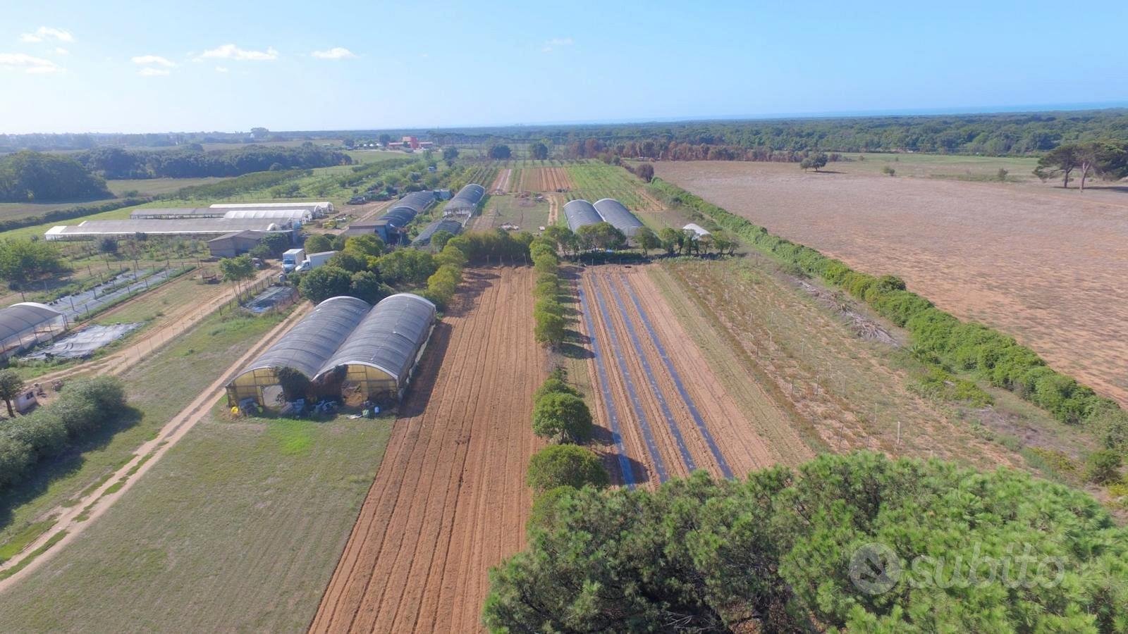 Terreno agricolo edificabile - Vista 2