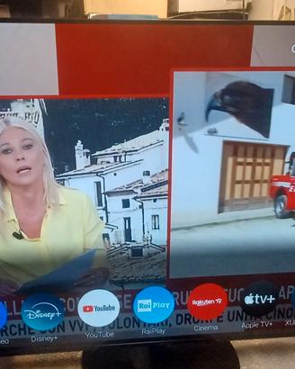 TV Smart Panasonic Oled 55 pollici
