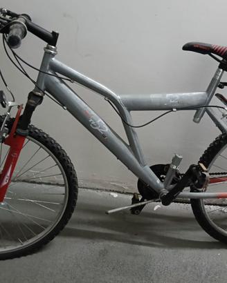 Bicicletta per ragazzi