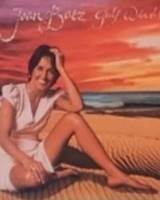 lotto vinili 33 giri lp disco album rock pop blues