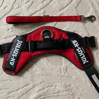 Pettorina Julius K9 XL/2 + guinzaglio Ferplast