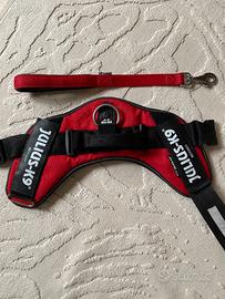 Pettorina Julius K9 XL/2 + guinzaglio Ferplast