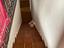 Immagine 24