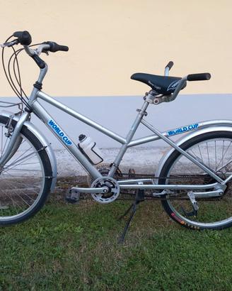 bibici
