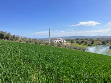 Rif. 141 Terreno agricolo in buona posizione