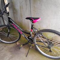 Bicicletta da ragazza