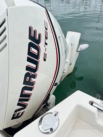 Motore evinrude etec 115 cc