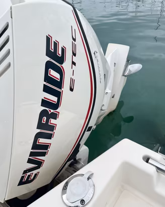 Motore evinrude etec 115 cc