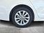 Immagine 14