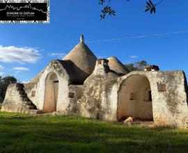 TRULLO DELLE CHIANCHE CON TERRENO 1Ha