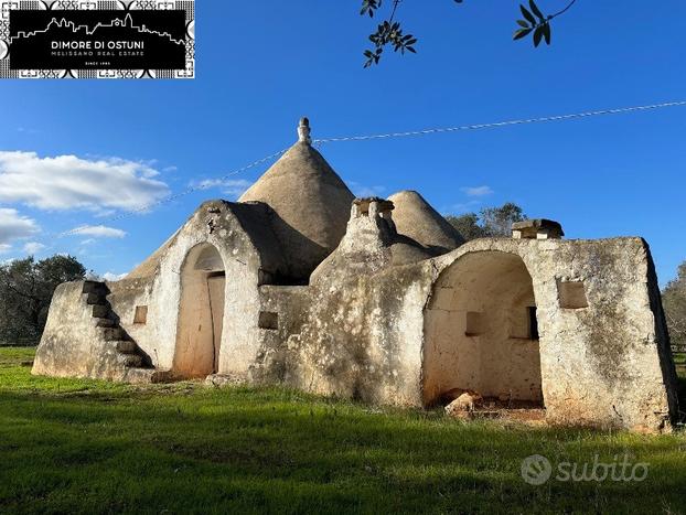 TRULLO DELLE CHIANCHE CON TERRENO 1Ha