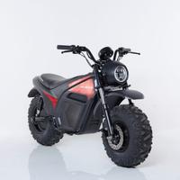 Moto elettrica Zodiac