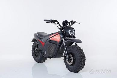 Moto elettrica Zodiac