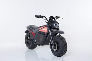 Moto elettrica Zodiac