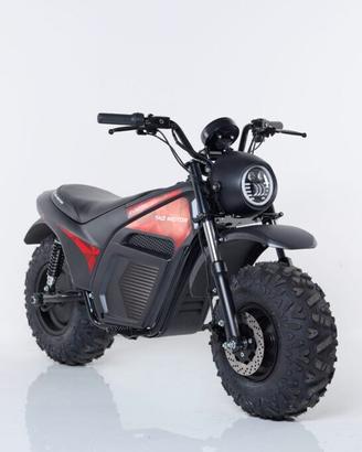 Moto elettrica Zodiac