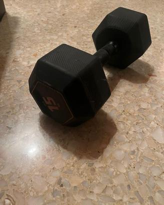 2 Dumbbell 15 kg