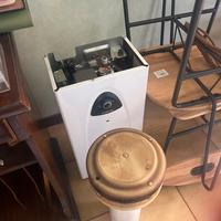 Scaldabagno a gas Ariston