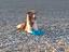 Immagine 6