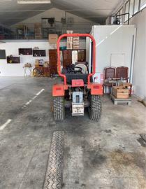 Trattore tagliaerba pasquali