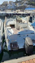Barca Gaia 22 220 open natante