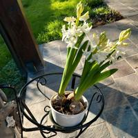 fuoriera da balcone in ferro rotonda da