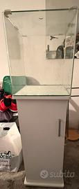 Acquario cubo