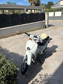 Scarabeo 50
