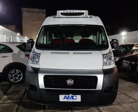 FIAT Ducato 33 2.0 MJT PLM-TM Furgone