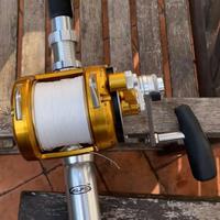 PENN INTERNATIONAL 16VISX